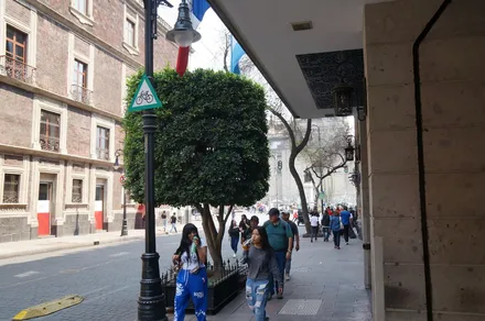 A busy street in downtown Mexico City with lots of foot traffic, but no cars on the street. In the center of the frame is a cylindrical tree.
